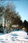 W4Winter2002-Im_Schnee5.jpg (100224 bytes)